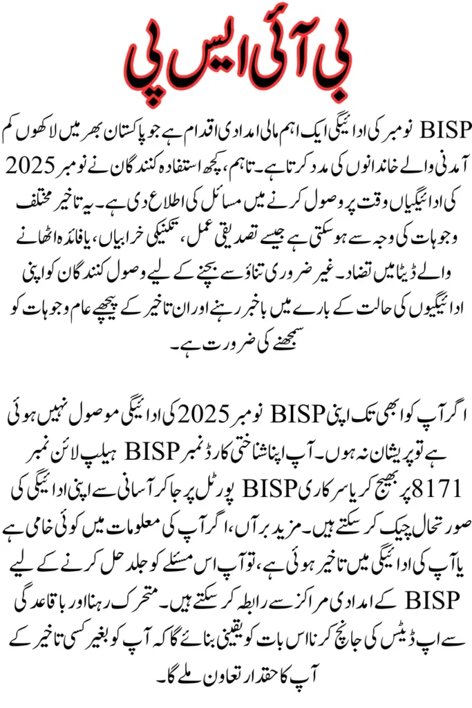 BISP November Payment Not Received? Check These Possible Reasons Full Guide
