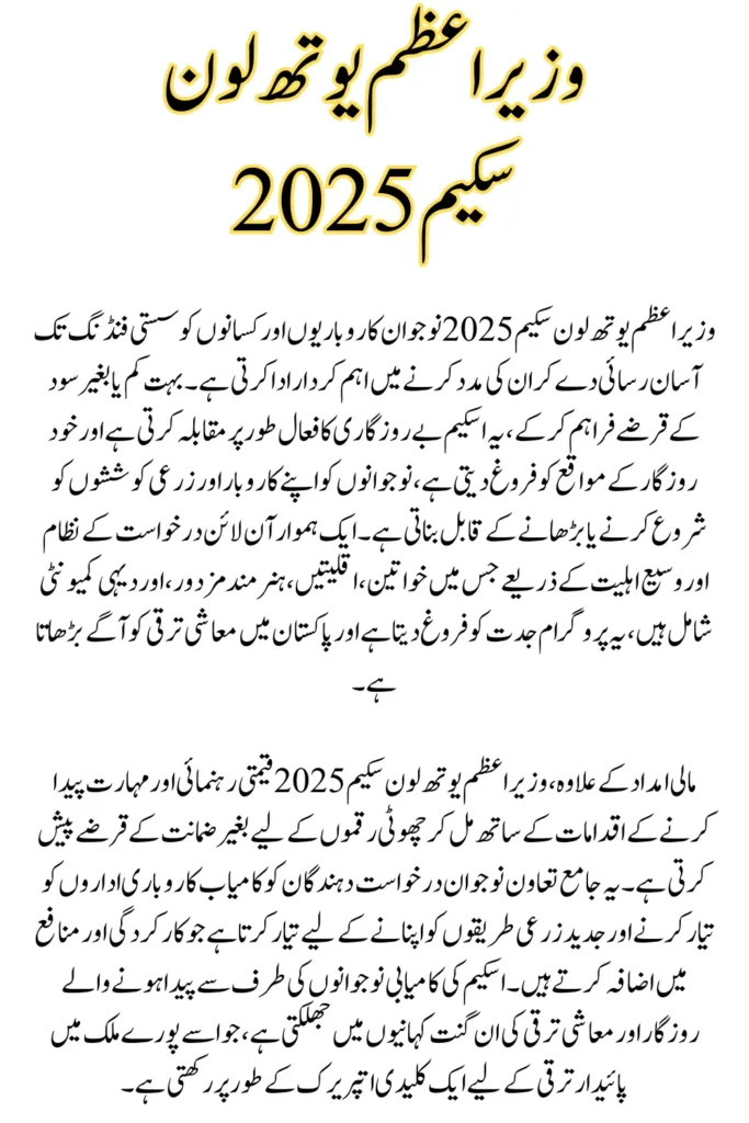 Prime Minister Youth Loan Scheme 2025 Online Apply Know Full Details
