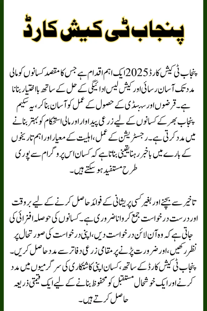 Punjab T Cash Card 2025 How To Apply Online, Know Full Guide Step By Step