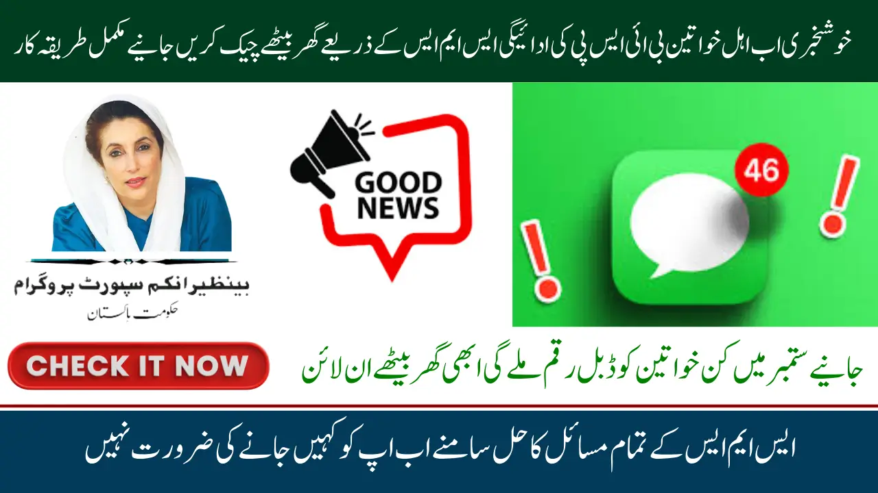 BISP 8171 SMS Issue, Know Common Problems and How to Fix Them Complete Guide