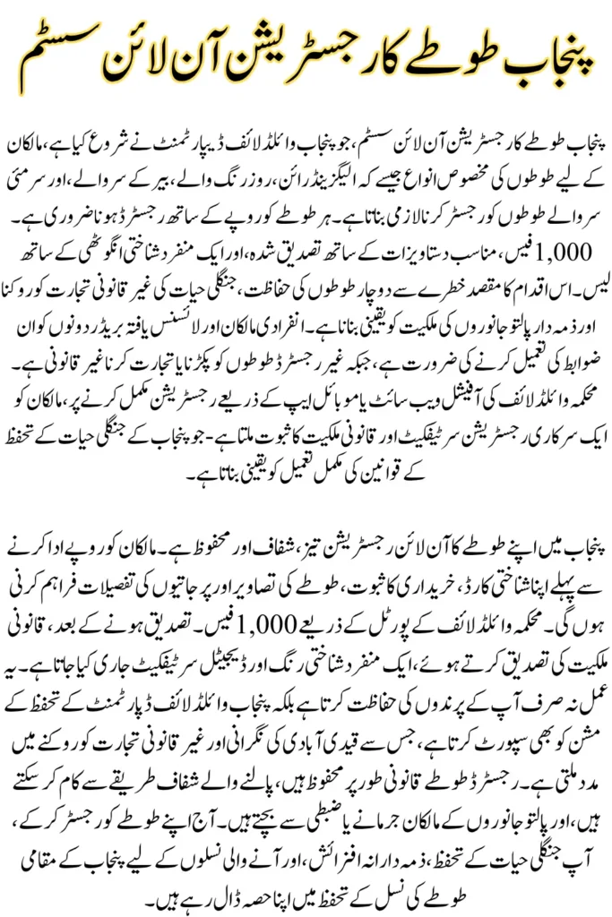 Punjab Parrot Registration Online – Register Your Feathered Friend in Minutes and Avoid Penalties
